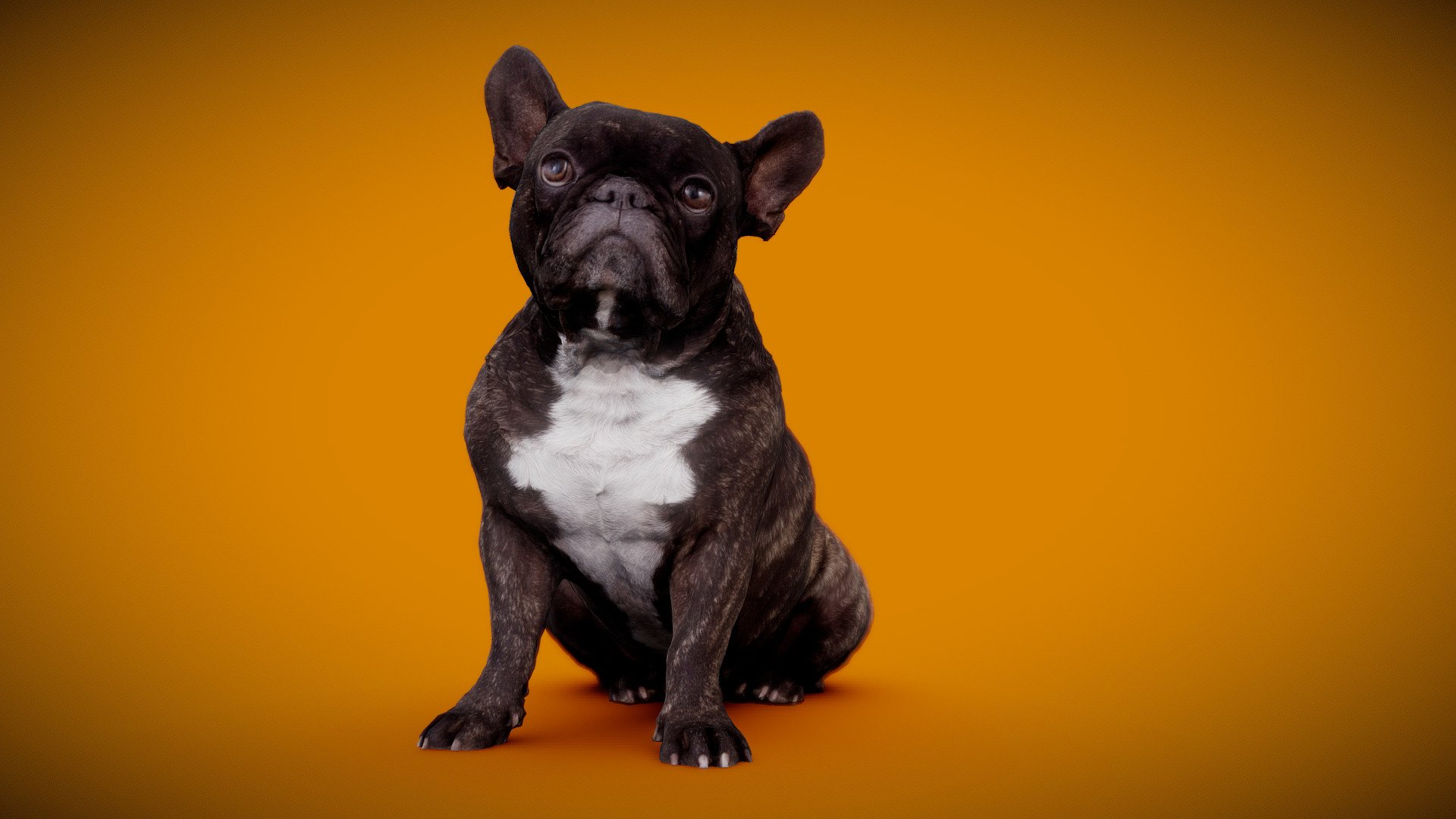 3d-dog-scan using photogrammetry technique // more poses and packages avaiable https://skfb.ly/o9p9z




4K DiffuseColorTexture

3d-ScanService: https://www.optimission.de

NoAI: This model may not be used in datasets for, in the development of, or as inputs to generative AI programs.