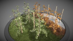 Plum Trees All Seasons trees, green, plant, fruit, garden, small, nature, game-ready, seasons, plum, vis-all-3d, 3dhaupt, software-service-john-gmbh, low-poly, leaves