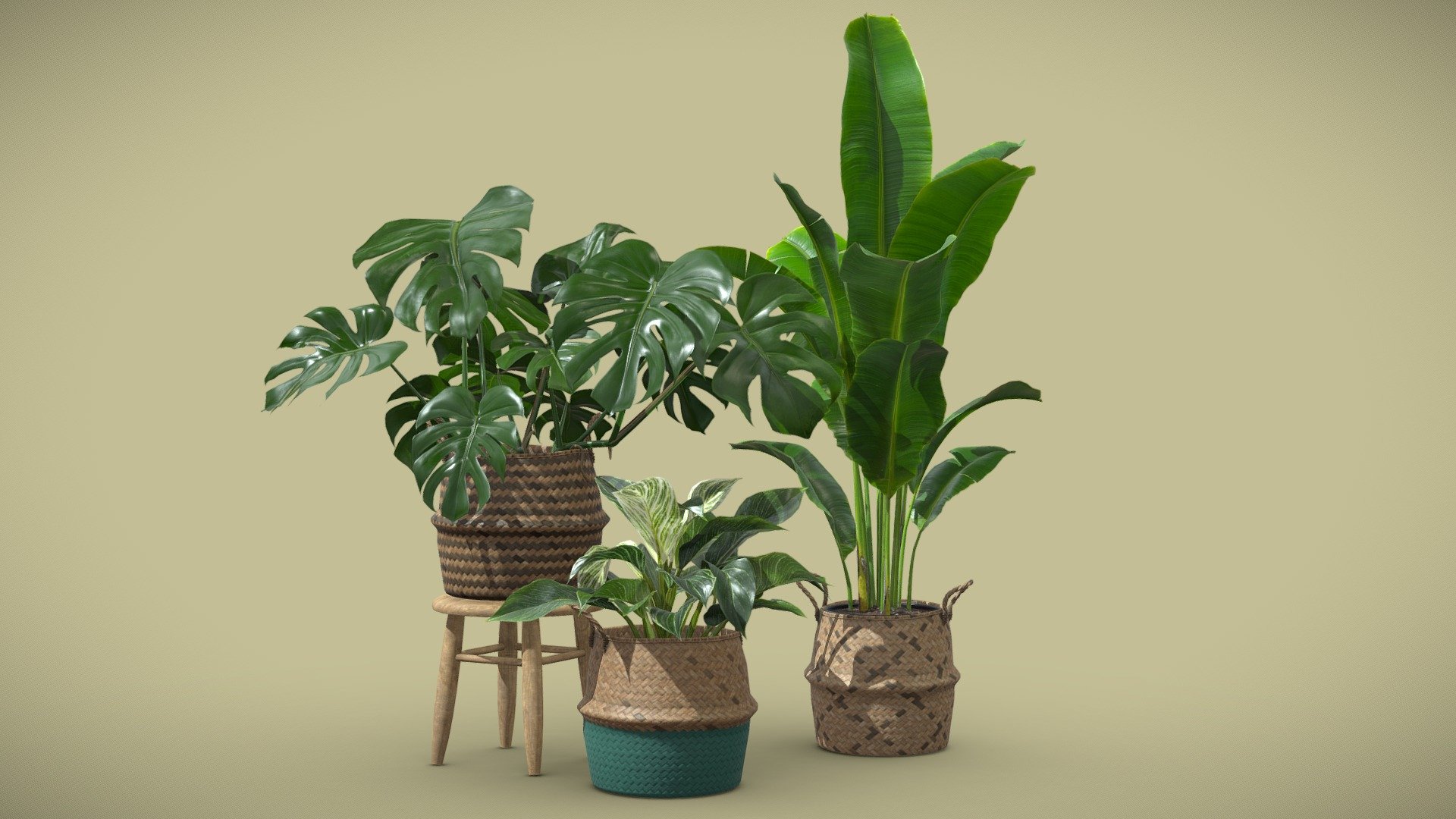 Indoor Plants Pack 16

This selection of indoor exotic plants will provide a nice touch to your interior renders. I kept the polycount relatively low but you can also subdivide the model if you need more definition. 




Strelitzia reginae

Monstera Deliciosa

Philodendron Birkin Variegata

4k Textures




Vertices  51 558

Polygons  48 142

Triangles 95 249
