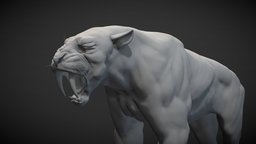 Sabertooth Tiger aka Smilodon tiger, mammal, feline, smilodon, sabertooth, bigcat, prehistoric, smilodon_fatalis, saber-toothed, noai