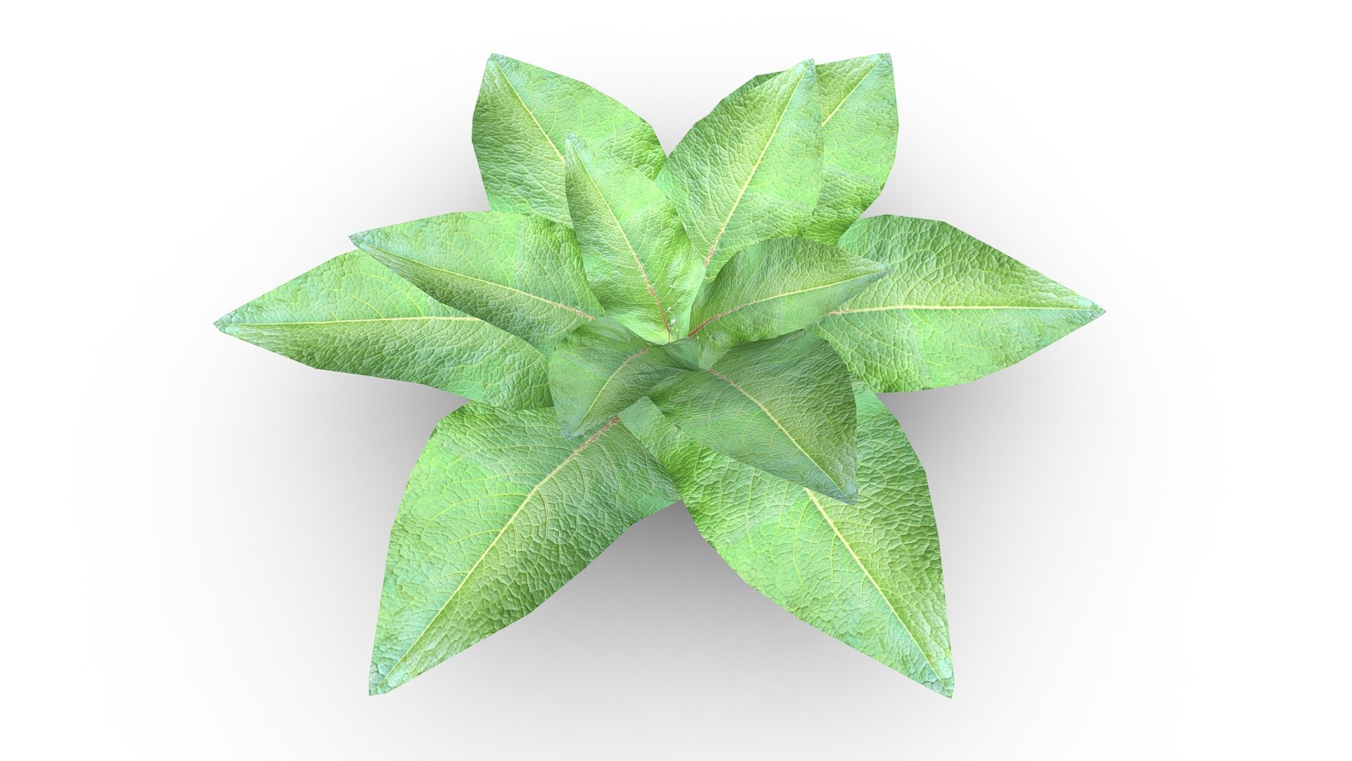 Enhance your projects with this premium environment model. This model has a very lean polygon count at 192 making it perfect for real-time applications or quick render times in ray tracing engines.

Features:




192 quads

2048px by 2048px textures for PBR workflows (Albedo/Color &amp; Normal)

Non-overlapping UV Map

Real world scale set in centimeters

