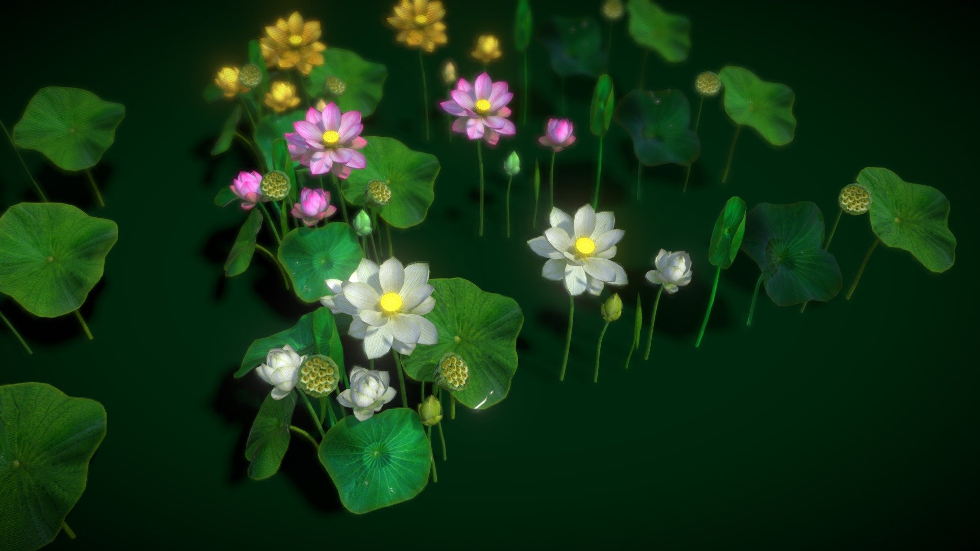 HIGH QUALITY Flower optimized for Unity game engine! 
Mobile Optimize Scene This is model 3DFlower Nelumbo Nucifera in the Big Pack (Cartoon Flower Colections) with over 6 types color!
All objects are ready to use in your visualizations. 
-1024x1024, texture maps 
-Poly Count : Average 31415polys /58000 tris/31831vert