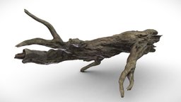 Fantasy Forest Tree - Fallen Dead Roots B - 4k trees, tree, plant, landscape, abandoned, forest, grass, plants, mud, post-apocalyptic, dead, leaf, outdoor, foliage, bark, realistic, nature, decay, psychedelic, meadow, fog, botanical, dark, horror