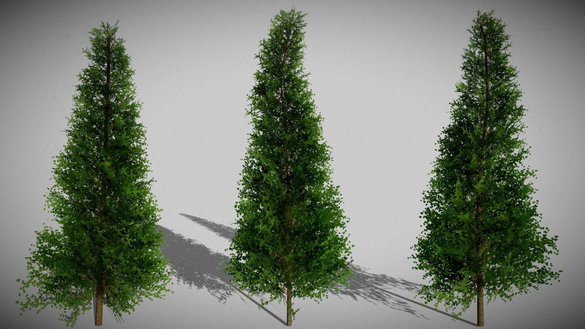 Low Poly Trees Free

Asset Pack Description:-



3 types of Low Poly Tree mesh

Textures Included in Blend File, You can extract them from unpacking the blend file

Textures List : Leaf Color Map,Normal Map and Opacity Map,Bark Color Map,Bark Normal Map,Bark Roughness Map, You can Use any Bark texture 

Technique Used: Opacity Masking

Trees can be Used in Games and Game Engines, Just Export them in any file format you want!




Additional Notes/Tips:-



All Trees have Poly Count Less than 1k

Use subsurface/Translucency with lighter shade of leaf Texture using Brightness/Contrast in shader editor.
Roughness map on Leaf not applicable use value 0-1 according to your requirements and use lower specular Value unless you want some shiny Leaves

Use Color variation with same Normal And Opacity Mask in Shader Editor.


Thank You!