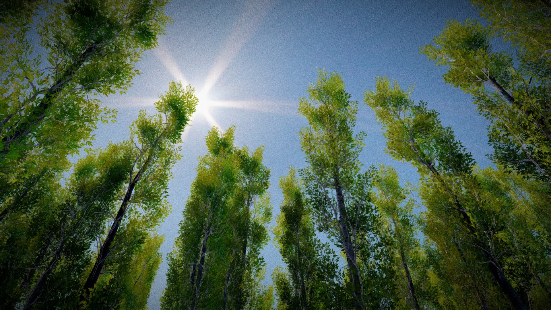 Long Tree Collection

Get Here (50% Off) 



Asset Description:-
5 types of Tree mesh with Texture Variations
Full Scene fbx included
Textures Included






Additional Notes/Tips:-
All Trees have Poly Count Less than 3k Can be used in GameEngines
Use subsurface/Translucency with lighter shade of leaf Texture using Brightness/Contrast in shader editor.
Roughness map on Leaf not applicable use value 0-1 according to your requirements and use lower secular Value unless you want some shiny Leaves
Use Color variation with same Normal And Opacity Mask in Shader Editor.


Thank You!