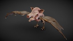 Airpig flying, pig, bat, creepy, hybrid, creature, animal, monster, dragon, airpig