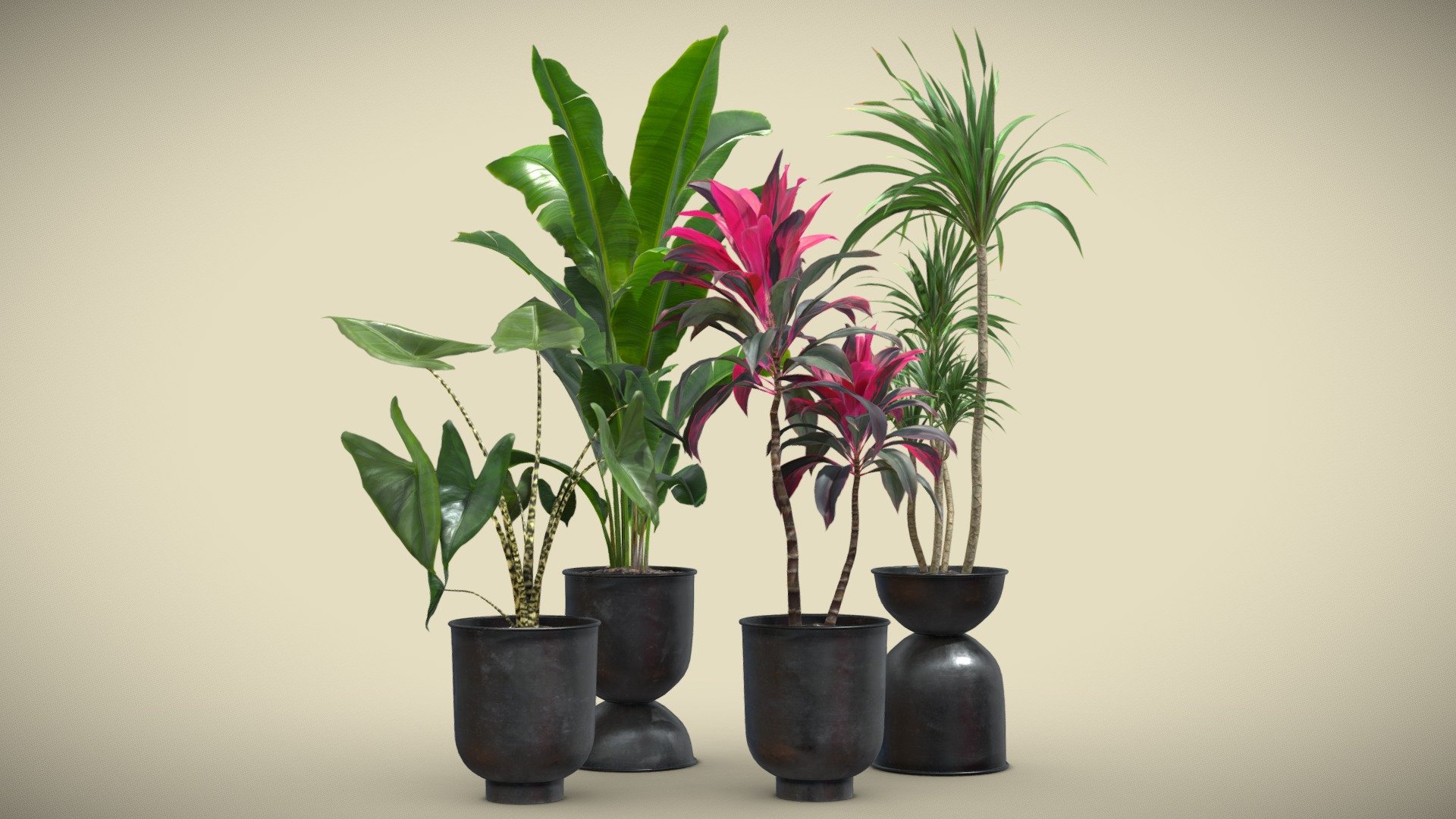 Indoor Plants Pack 40

This selection of indoor exotic plants will provide a nice touch to your interior renders.
Models are optimized to be subdivided for more definition. 




Alocasia Zebrina

Strelitzia Reginae

Cordyline Fructicosa

Dracaena Marginata

4k Textures




Vertices  46 151

Polygons  39 688

Triangles 78 274
