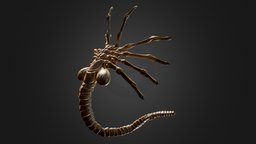 Facehugger (Alien) gross, retopology, facehugger, extra, alien, hrgiger, giger, grotesque, xenomorph, blender, pbr, rigged, horror