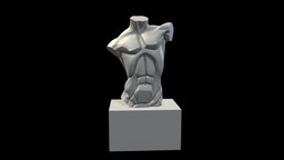 Planes of The Torso body, stl, anatomy, fanart, artwork, figure, drawing, basemesh, tools, 3dprintable, study, sculpting, painting, obj, torso, tutorial, asaro, mannequin, planes, john, statue, tool, mtl, guides, guide, tutorials, manequin, character, 3dprint, lighting, 3d, art, man, plane, structure, sculpture, johnasaro, arttool, planeofthebody, toolart, planeofthetorso, noai