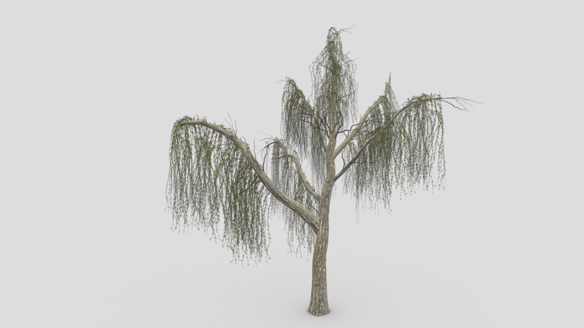 I try to provide low poly model of Weeping Willow tree to use for your game project. I hope this model will be useful for you.