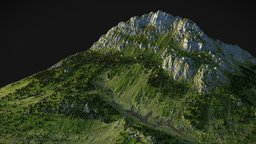 Green mountain - (World Machine) (1) tree, grass, cliff, worldmachine, summer, background, mountains