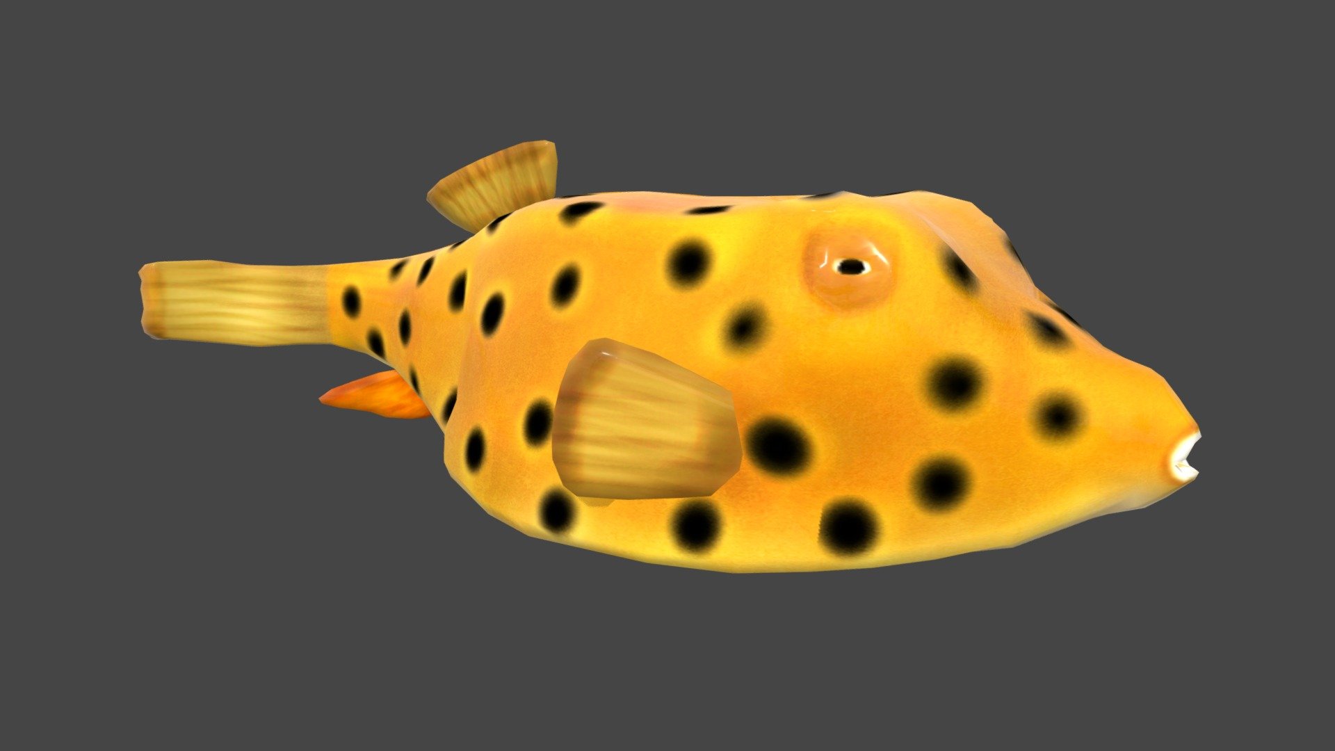 Geometry 
1.8k converted to Triangles Number of faces 
Vertices 
924 Number of vertices 




Low poly, suitable for all types of projects (games or movies) and compatible for both mobile game projects.
Animation Description:

3 anims: swim slow, swim fast, eat. The animation is basic 



Texture description: 
Full PBR maps: Diffuse, Normal, Displayment, Spec, Glossiness, Occlusion. Resolution of 1024 x 1024. 



Format description: 
Original model created by 3dsmax. Additional formats include FBX (you can import directly into the project immediately), obj. 



If there is a need for any type of model, send a message! We will provide. 
Thanks for your interest and love!