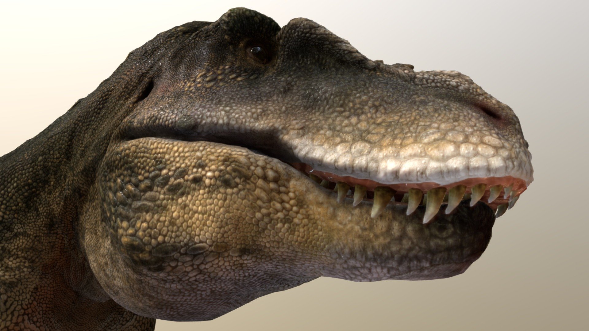Tarbosaurus was a massive carnivorous dinosaur that roamed the plains of Asia during the Late Cretaceous period, around 70 million years ago. Closely related to the famous Tyrannosaurus rex, Tarbosaurus shared many similar features, including its large, powerful jaws filled with sharp teeth and tiny, two-fingered forelimbs. However, it was slightly smaller, reaching up to 12 meters in length. This apex predator likely preyed on large herbivores like hadrosaurs and sauropods. Its long, muscular tail provided balance while chasing prey, making it a formidable hunter. Fossils of Tarbosaurus have been found primarily in Mongolia, offering critical insights into the diversity of tyrannosaurids in ancient Asia. #Dinosaur #Cretaceous