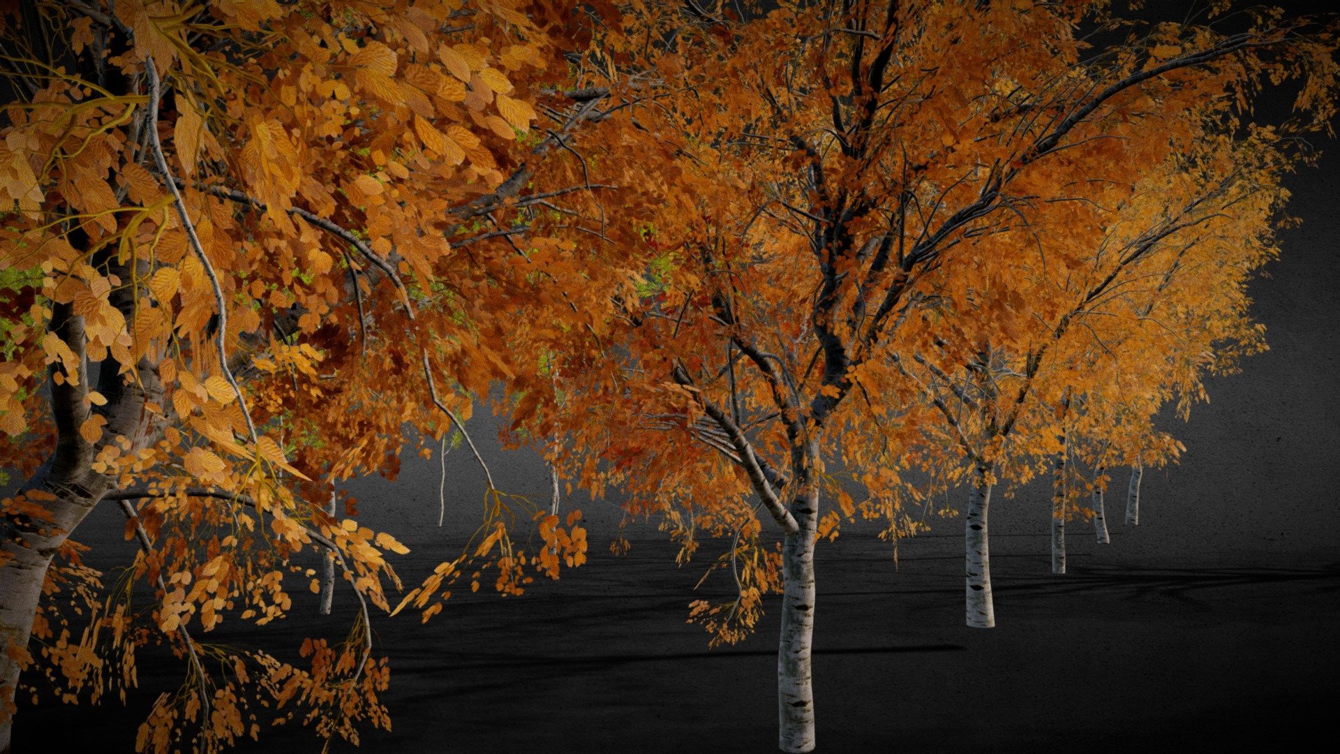 Mid/Low Poly Autumn Trees Collection with 1k and 2k Textures,you can use any bark textures you like!
Full Scene File:Click Here



All the Textures and required blend files are included in the additional Files.


The Above Full Scene File is also included in the Additional Files.



Thank you!