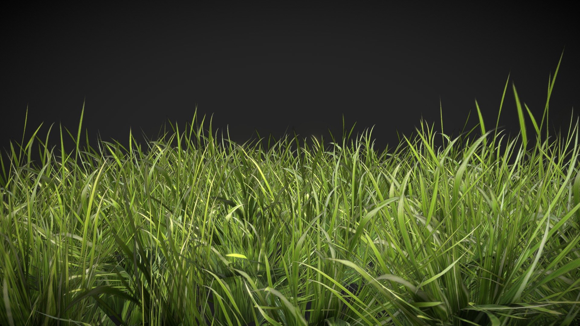 Realistic Grass 3D (920Polygons)

Contains 1 low-poly 3D model of realistic grass which is fully game-ready, UV'ed, textured with a proper axis on the bottom so that they are drag&amp;drop ready.




Game-Ready

Low-Poly

Excellent for Unity,Unreal,Godot

All models have proper axis at the bottom

Drag&amp;Drop Ready

POLYGONS

920 poly