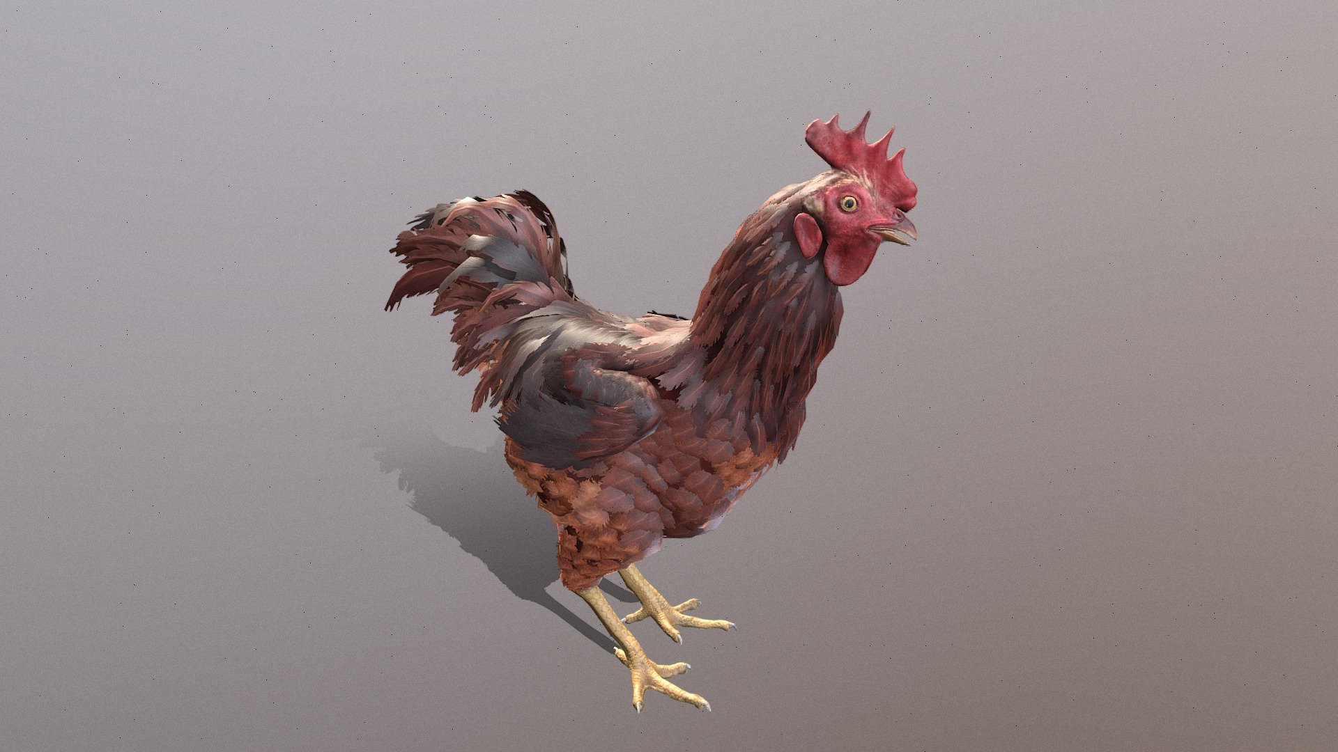 Animated Chicken 
in fbx file format