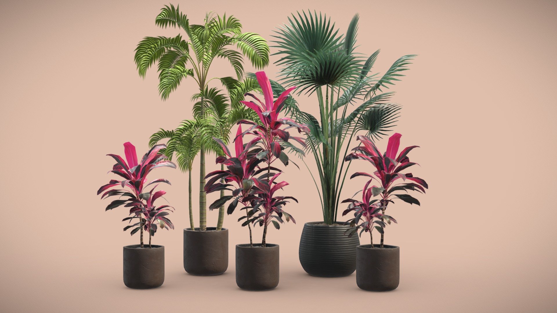 Indoor Plants Pack 12

This selection of indoor exotic plants will provide a nice touch to your interior renders. I kept the polycount relatively low but you can also subdivide the model if you need more definition. 




Palm Trees

Serenoa Repens

Cordyline Fructicosa

4k Textures




Vertices  128 441 

Polygons  97 865

Triangles 189 854
