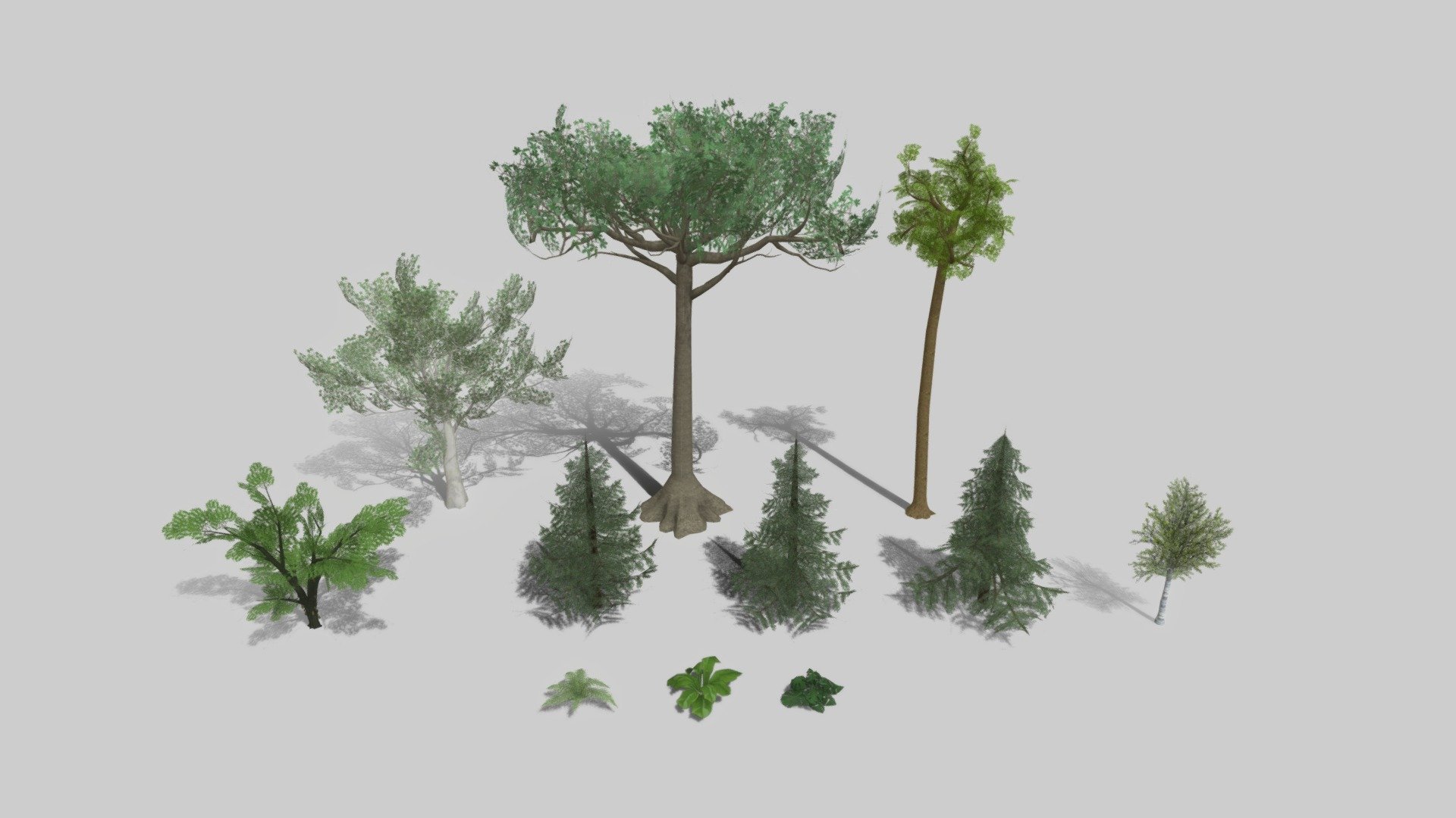 Mixed trees and fern bush pack




Kapok tree

Lecythidaceae tree 

Cacao tree

eucalyptus tree &ldquo;Chewing gum tree