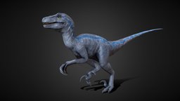 Blue Raptor - Velociraptor - HiepVu animals, trex, lizard, predator, velociraptor, fossil, paleontology, reptile, jurassic, extinct, tyrant, creature, animal, monster, blue, prehistoric, dinosaur, dino, tyrannosauru, noai