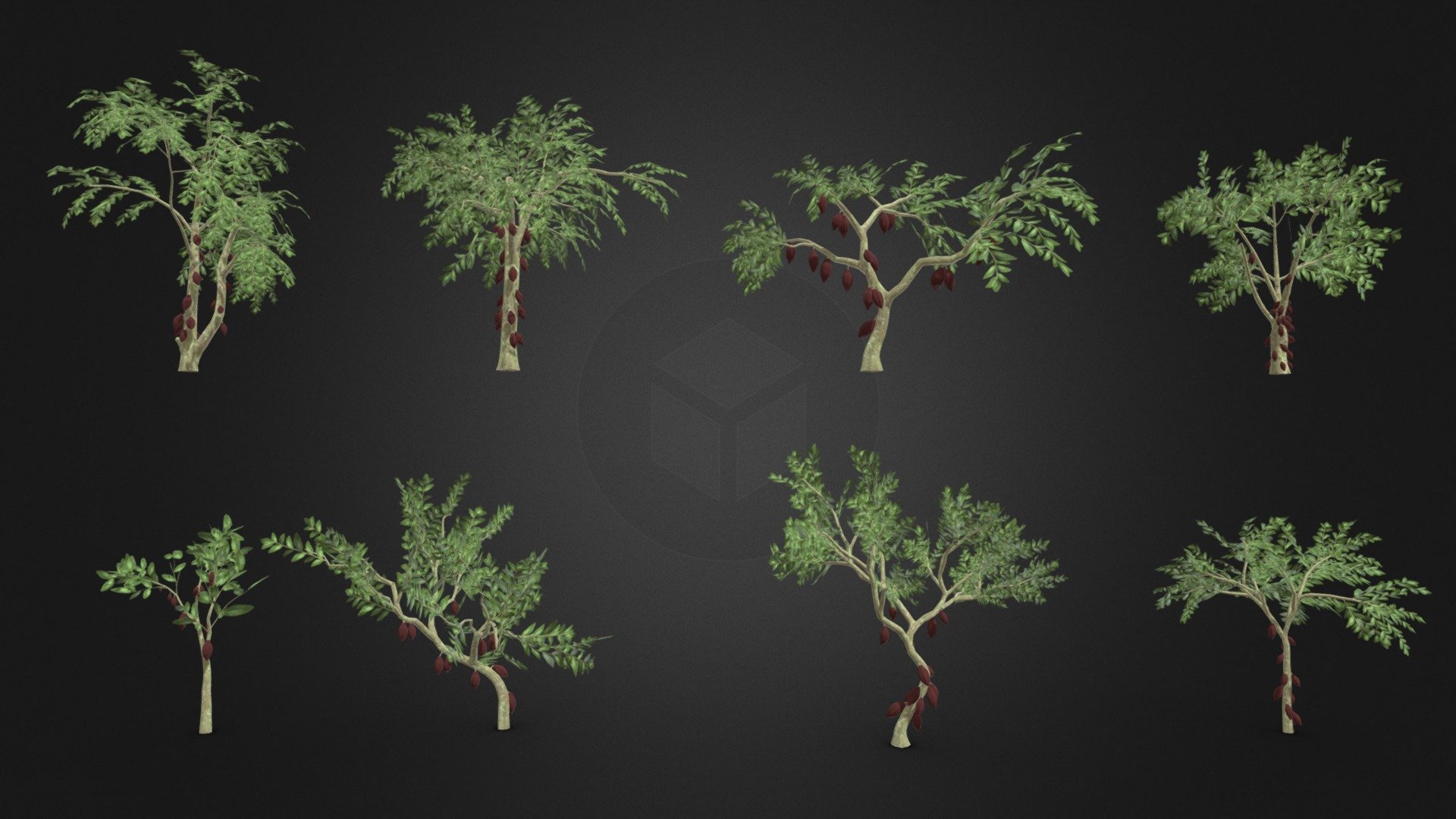 This is a 3D low poly model of a Cacao tree pack. This pack contains 4 models that you can use in your projects.

Info:

Theobroma cacao is a small evergreen tree in the family Malvaceae. Its seeds, cocoa beans, are used to make chocolate liquor, cocoa solids, cocoa butter, and chocolate. Native to the tropics of the Americas, the largest producer of cocoa beans in 2018 was Ivory Coast, at 2.2 million tons.