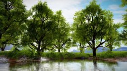 Low Poly Tree Scene Free tree, grass, lake, vegetation, nature, treemodel, freeasset, nature-plants, lowpoly, gameready, natureasset, noai