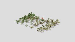 Tropical Plants Pack tropical, palm, fern, needle, anthurium, monstera, alocasia, deliciosa, treeit, macrorrhiza