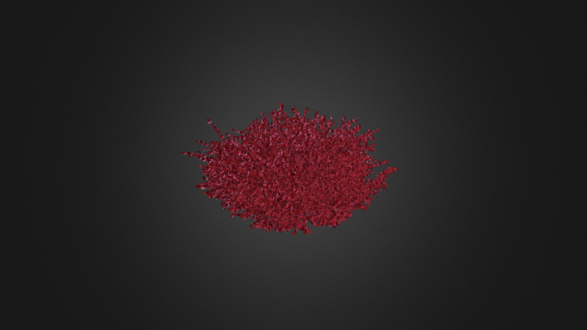 Red Leaf Japanese Barberry