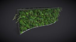 Plant Wall plant, greek, plants, villa, design, wall