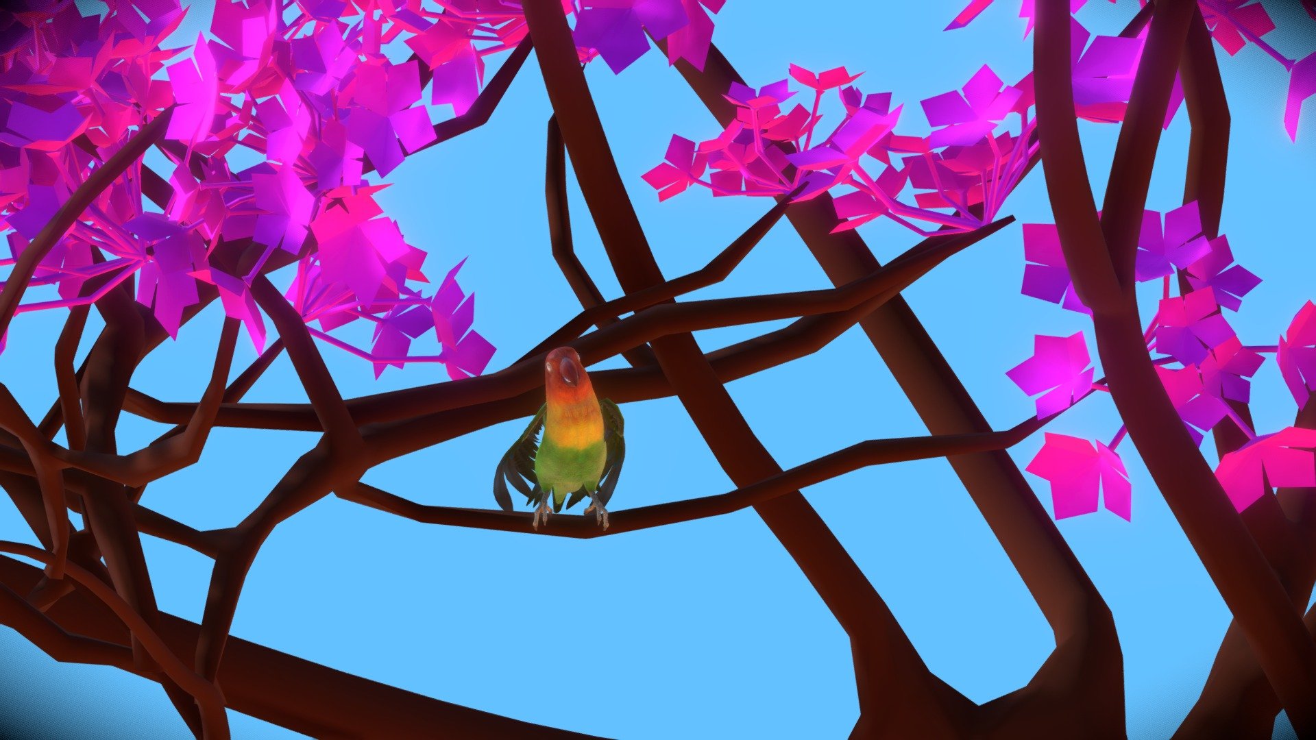Lovebird-Animated