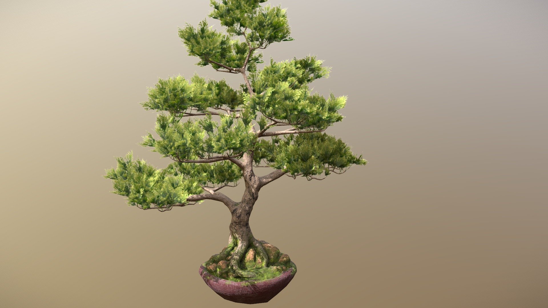 Bonsai tree sculpted in zbrush, textured in substance painter and rendered on blender with eevee realtime engine

PBR textures 4k
