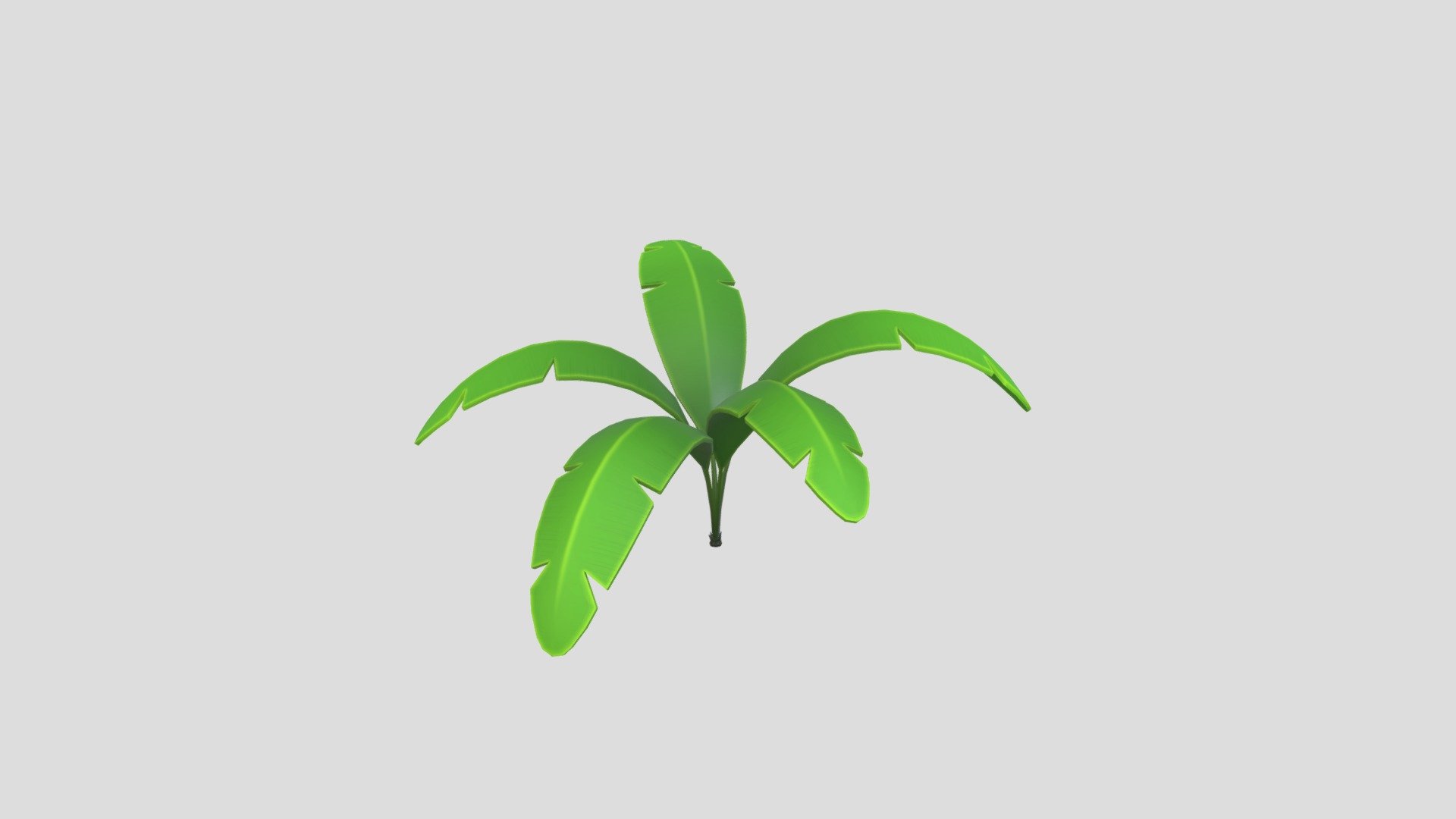 Banana Plant 3d model.      
    


File Format      
 
- 3ds max 2021  
 
- FBX  
 
- OBJ  
    


Clean topology    

No Rig                          

Non-overlapping unwrapped UVs        
 


PNG texture               

2048x2048                


- Base Color                        

- Normal                            

- Roughness                         



1,097 polygons                          

977 vertexs                          
