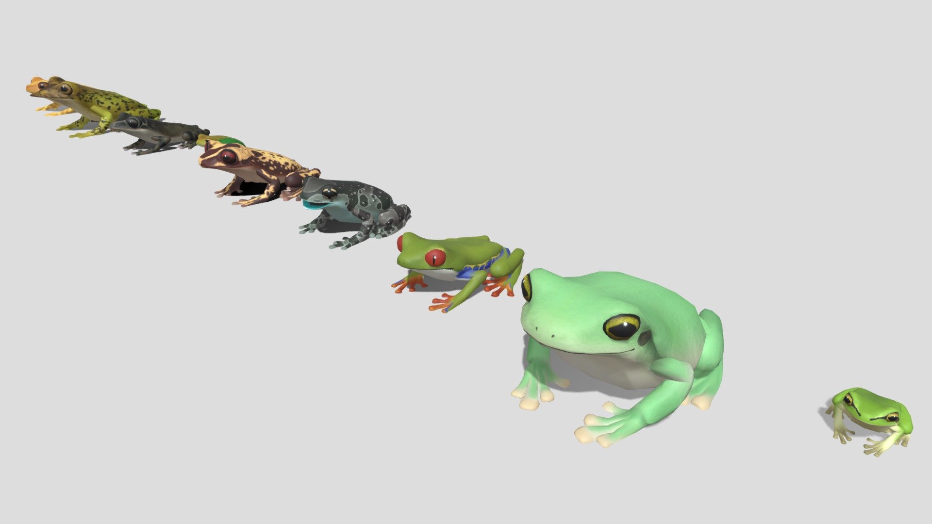 They are 10 kinds of tree frogs.




和 ニホンアマガエル / 英 Japanese tree frog / 学 Dryophytes japonica

和イエアメガエル / 英 White's tree frog / 学 Litoria caerulea

和アカメアマガエル / 英 Red-eyed tree frog / 学 Agalychnis callidryas

和ジュウジメドクアマガエル / 英 Amazon milk frog / 学 Phrynohyas resinifictrix

和ブルーノイシアタマガエル / 英 Bruno's Casque headed frog / 学 Aparasphenodon brunoi

和ギンレブラジルアマガエル / 英 Guinle tree frog / 学 Aplastodiscus leucopygius

和ミナミヘラクチガエル / 英 Yucatan shovel-headed tree frog / 学 Triprion petasatus

和シャベルヘッドアマガエル / 英 Mexican shovel-headed tree frog / 学 Triprion spatulatus

和チズアマガエル / 英 Map tree frog / 学 Boana geographica

和キマダラアマガエル / 英 Hourglass tree frog / 学 Dendropsophus ebraccatus
