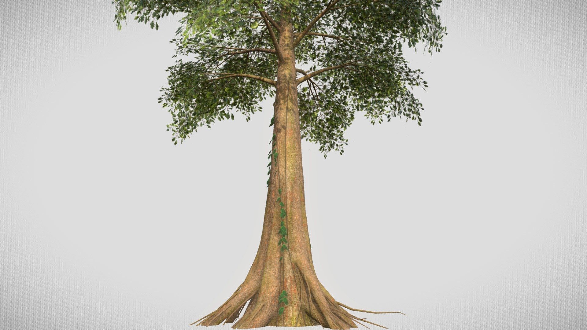 Jungle Tree ready for game engine