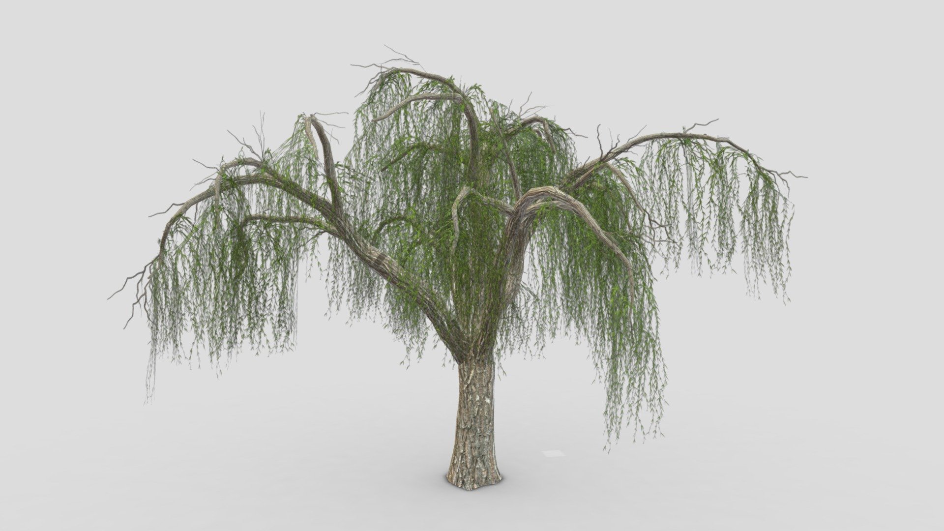 I try to provide low poly model of Weeping Willow tree to use for your game project. I hope this model will be useful for you.