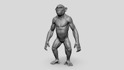 Monkey - Topology + UV Map monkey, chimpanzee, ape, gorilla, primate, game, model, animal