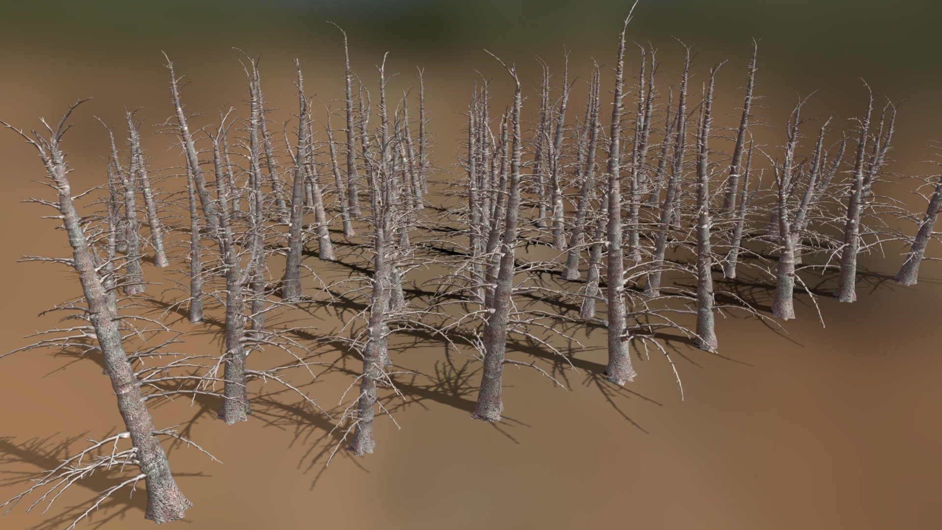 64 individual-randomly shaped dead fir trees with the attempt to attain a realistic appeareance with a moderate number of tris (approx. 9.000 / tree). Each tree is a selectable group in the original obj file.