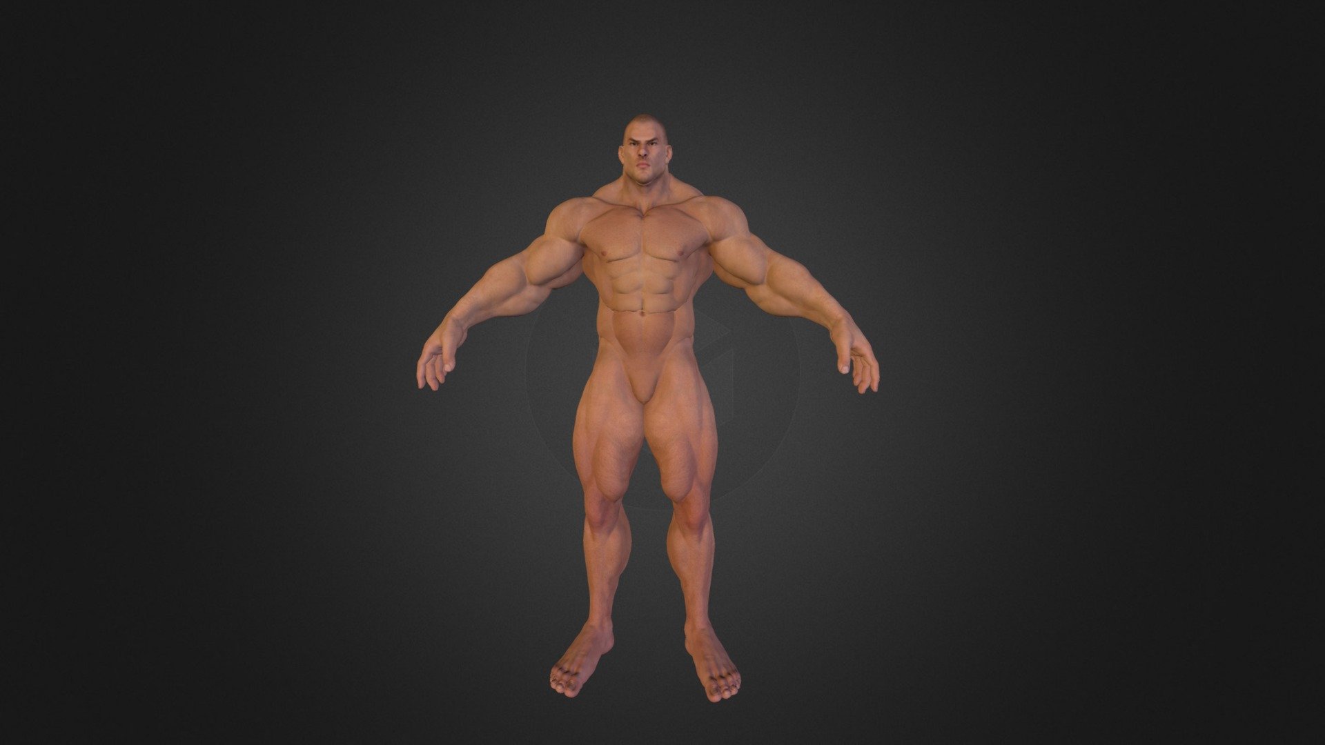 body builder model
Found on tf3dm.com website
Download Model from www.StockCG.com