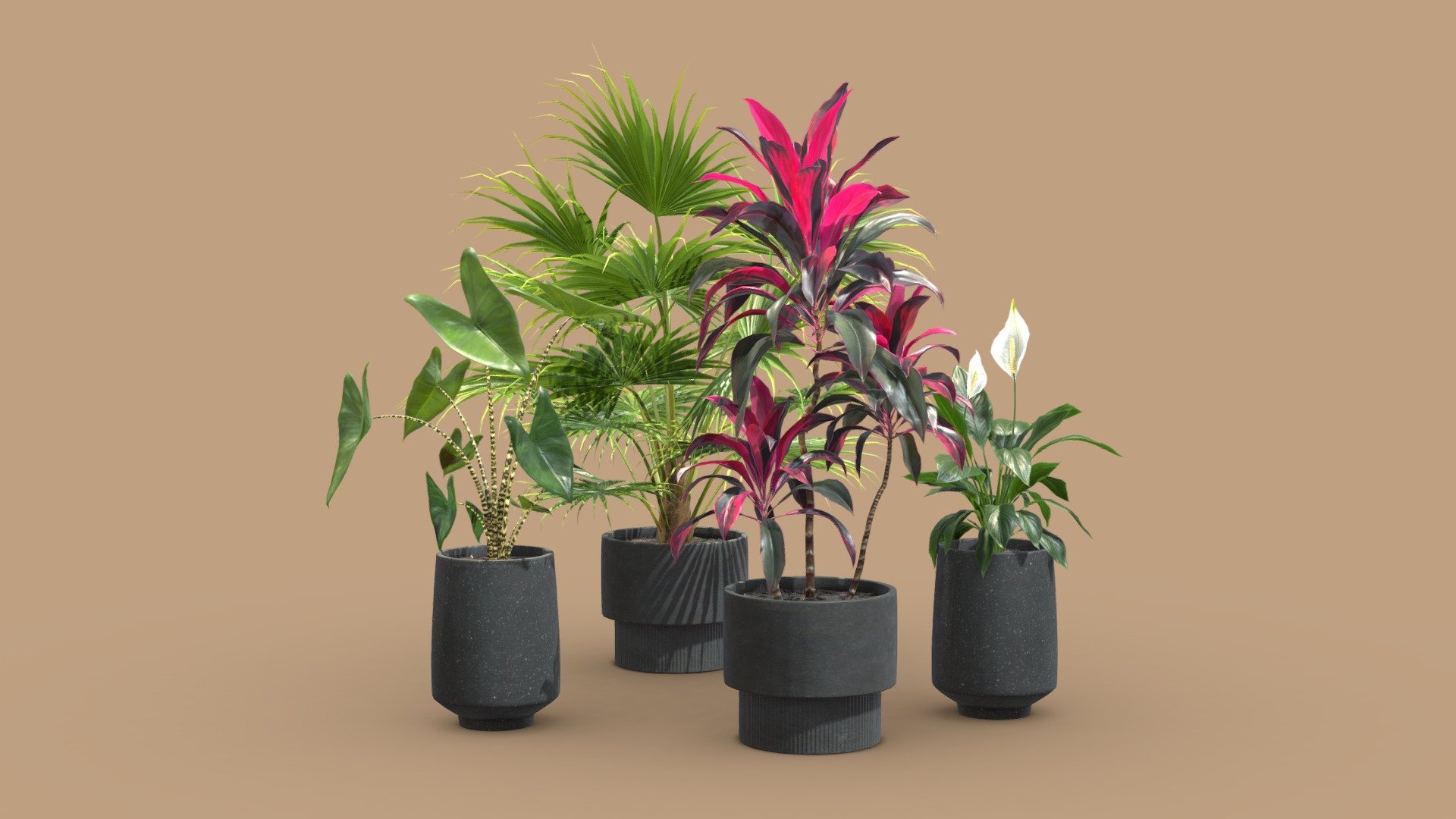 Indoor Plants Pack 44

This selection of indoor exotic plants will provide a nice touch to your interior renders.




Livistona Chinensis 

Cordyline Fructicosa

Alocasia Zebrina

Spathiphyllum (Peace Lily)

4k Textures




Vertices  69 108

Polygons  57 660

Triangles 114 870
