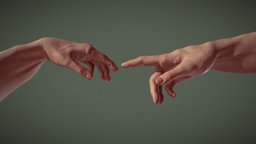 Creation Of Adam anatomy, hands, anatomystudy, forearm, michealangelo, human-anatomy, skin, creationofadam, anatomysculpt, forearms