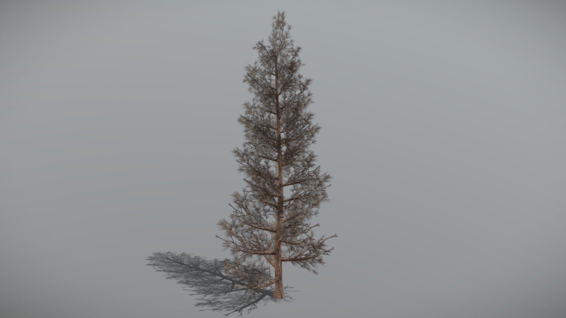 Animated Pine tree + FBX LOD Model

• LOD0 = 1,273 Tris

• LOD1 = 654 Tris

• LOD2 = 498 Tris
