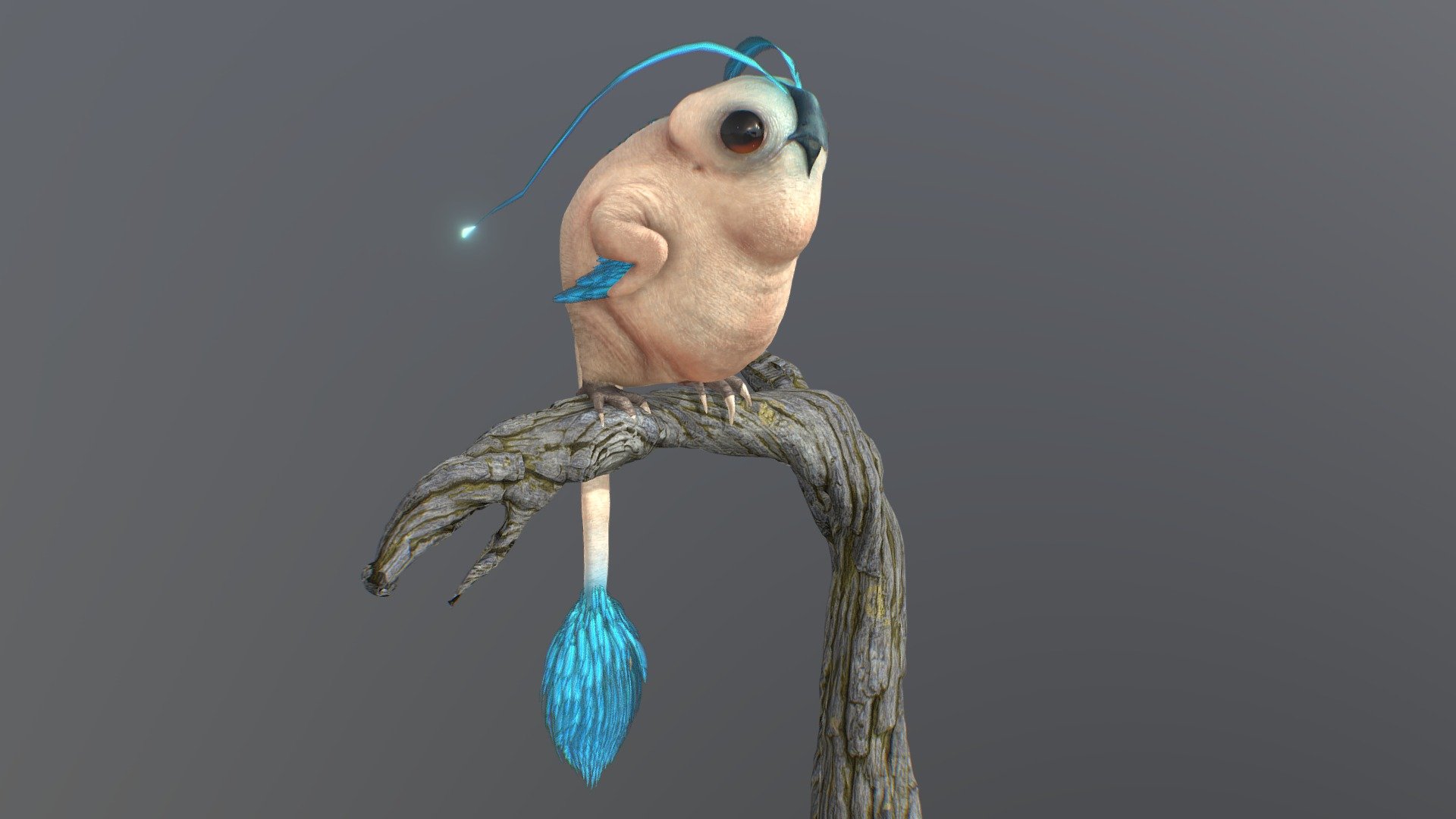 Scientific Name: Aviluminis noctilux

General Characteristics:
The Aviluminis noctilux, commonly known as the &ldquo;Luminave,