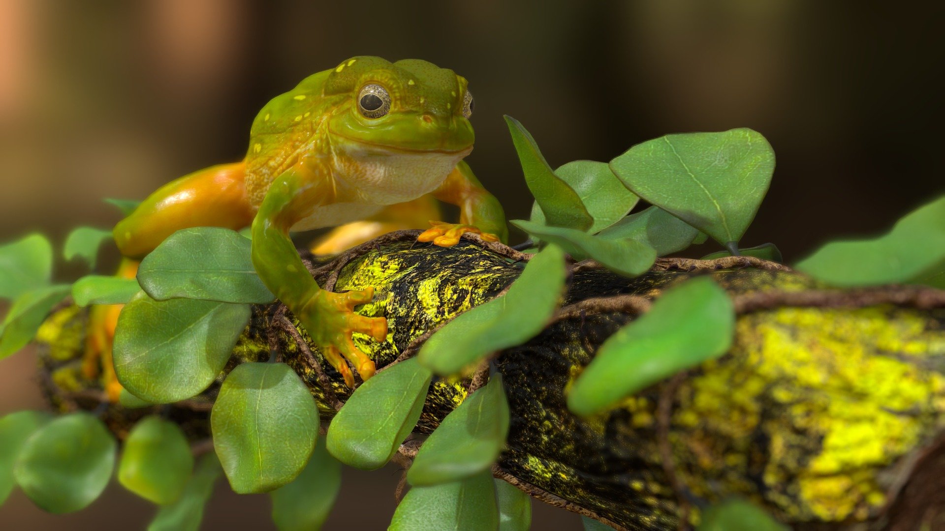 Hi All 
Sharing the my latest work based on Australian Green Tree Frog. I did find many skin color of the frog but find this one more attractive,
Pose is done in zbrush
Hope you like it

Thanks