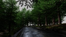Pine Tree Showcase landscape, forest, pine, photorealistic, road, blender-3d, rainforest, pine-tree, nature_asset