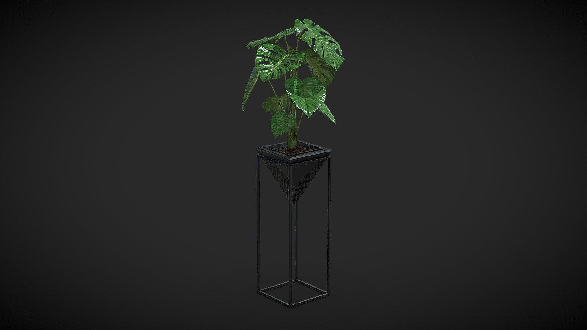 Cheese Plant - Monstera Deliciosa in a tall black pot.

Specification:




Model is in a real scale

Polygons: 60353

Verticles: 70875

Only Quads and Triangles used

Formats:




3ds max 2017 V-Ray (native)

3ds max 2017 Corona

3ds max 2017 Arnold

Cinema 4D R20 Standard

Cinema 4D R20 V-Ray

Blender Cycles

Unreal Engine 5.1

Unity 2020

FBX

OBJ

DWG
