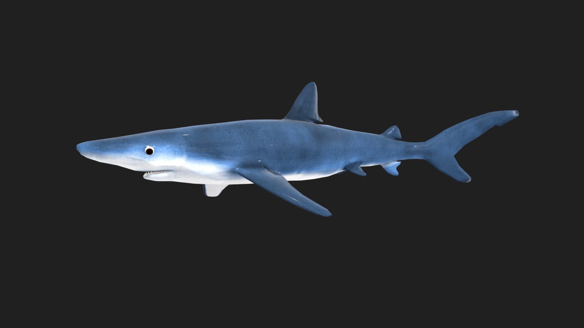 Geometry  1.5k Quads Number of quad faces  223 Triangles Number of triangle faces  3.3k converted to Triangles Number of faces  Vertices  1.8k Number of vertices  ---------  Animation:  3 anims: swim slow, swim fast, eat.  ---------  Texture: PNG format, Size: 1024*1024.  Full PBR maps: Diffuse, Normal, Displayment, Spec, Glossiness, Occlusion.  Include UV map layer.  ---------  -link removed-