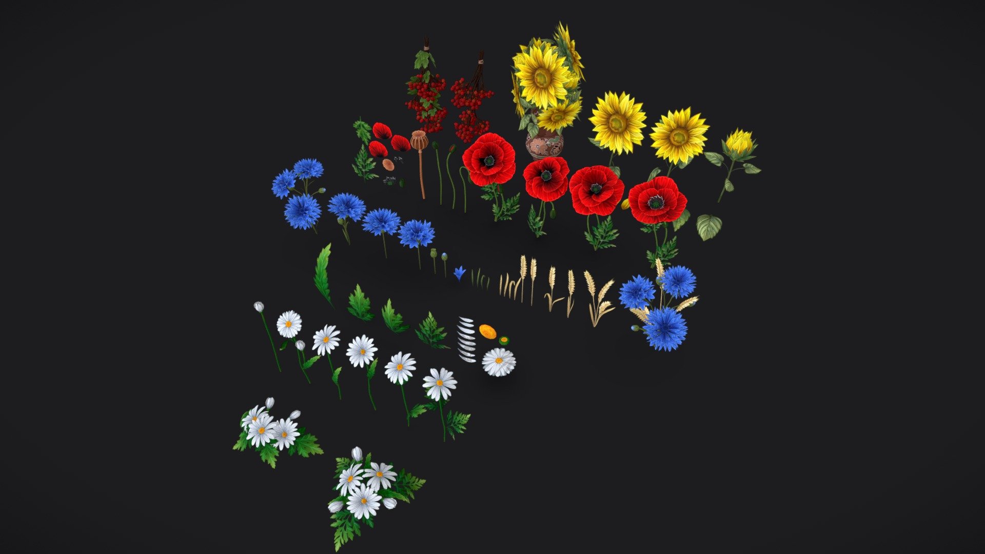 The pack of wild flowers handpainted models. 
These are common field flowers of Ukraine.  

The archive contains the following files:




.MA file (original MAYA file, version 2023) with all meshes

FBX and OBJ files with all meshes

separate FBX and OBJ files for each flower set (5 pcs)

.tga textures for BaseColor and Opacity

Geometry:




Guelder Rose
10 200 polygons

Texture: 
2k texture for berries
1k texture for leaves 




Sunflower Pot
204 polygons

Texture: 2k texture




Sunflower
9 300 polygons

Texture: 1k, 2k, 4k options 




Cornflower and Wheat
10 600 polygons

Texture: 1k, 2k, 4k options 




Poppies
4580 polygons

Texture: 1k, 2k, 4k options 




Daisies
3700 polygons

Texture: 1k, 2k, 4k options 

Each model also can be viewed or bought separately.
If you have any additional questions or any problems related to the model, kindly contact me: katy.b2802@gmail.com
