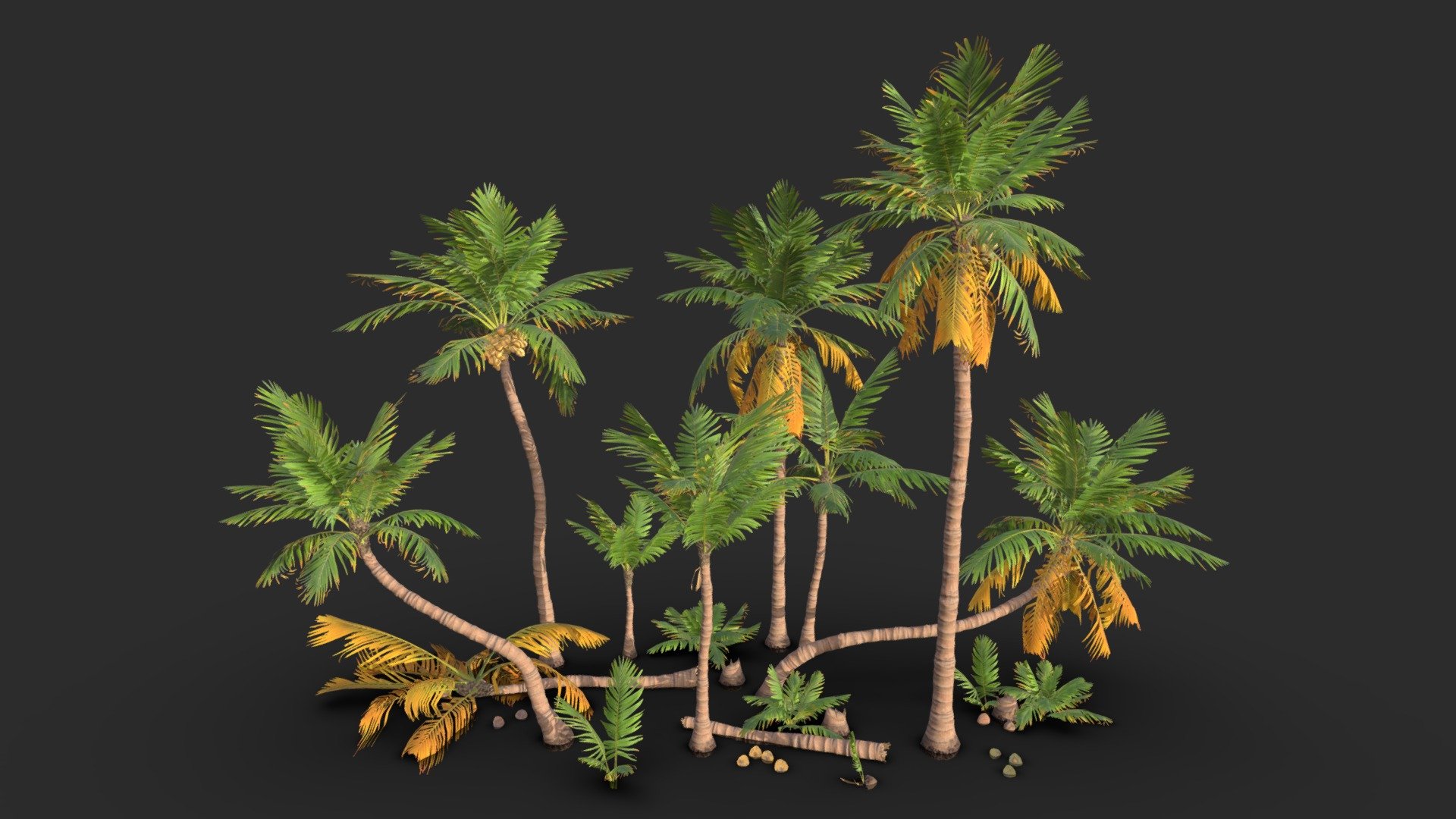 This Coconut Palm Tree (Cocos Nucifera) set includes 5 LODs. The pack of palm trees includes 8 different tropical palm shrubs and a modular set including 20 trunks and 13 foliage’s heads, 4 young trees, 7 dead parts, 20 fruits variants and stacks, 26 prefabs.

All assets are ready for game and available in lowpoly and PBR ready and including Vertex color layer to add wind animation in Unreal Engine or in Blender.

The assets are available in realistic style and can be used in the environment of any games (post-apo, FPS, survival… ). All objects share a unique material for the best optimization for games.

Low-poly model &amp; Blender native 3.1

SPECIFICATIONS

Objects : 95
Polygons : 215311
Render engine : Eevee (Cycles ready)

GAME SPECS

LODs : Yes (inside FBX for Unity &amp; Unreal)
Numbers of LODs : 5
Collider : Yes

FORMATS

FBX
Collada
OBJ
uasset

TEXTURES

Materials in scene : 1
Textures sizes : 2K
Textures types : Base Color, Metallic, Roughness, Normal (DirectX &amp; OpenGL), Heigh, Opacity &amp; AO