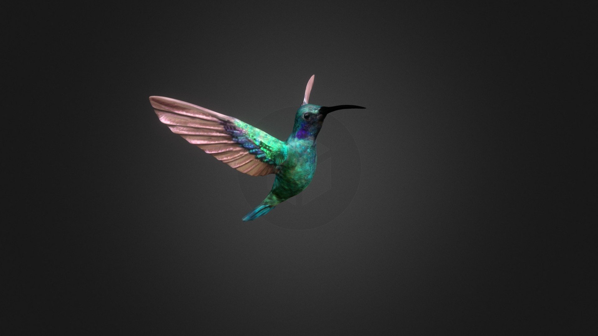 Model used for a case study of diagnostic swabs, inspired by the structure of hummingbird's tongue.

https://www.behance.net/gallery/145802335/CRN_01-Hummingbird-Swabs
https://sygnis.pl/en/crn_01-hummingbird-original-swabs-design/