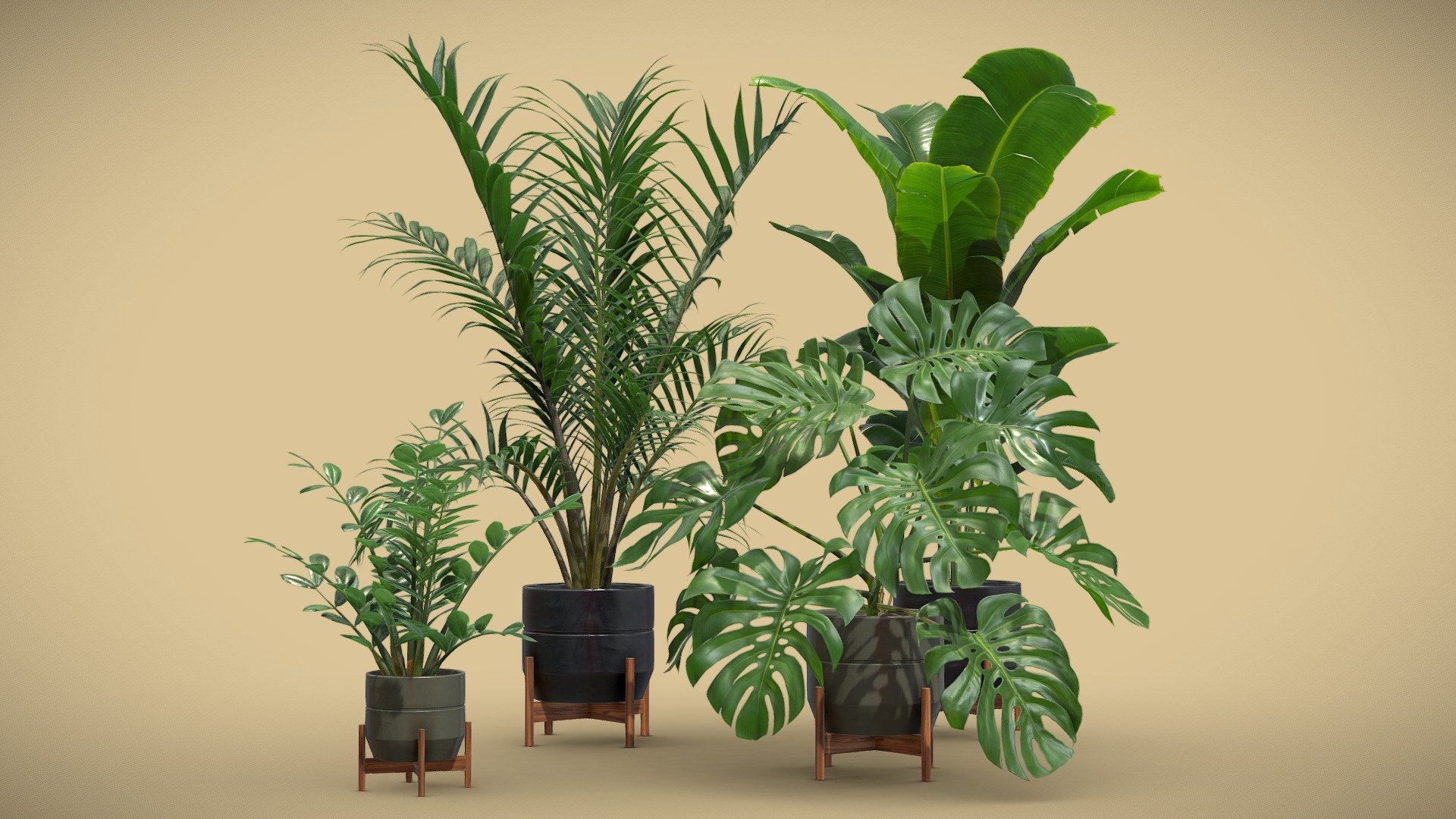 Indoor Plants Pack 48

This selection of indoor exotic plants will provide a level of detail that will take your visualizations to the next level. 

Models can be subdivided for more definition.




Howea Forsteriana

Zamioculcas Zamiifolia (ZZ Plant)

Monstera Deliciosa (SwissCheese Plant)

Strelitzia Reginae

4k Textures




Vertices  92 018

Polygons  78 987

Triangles 153 972
