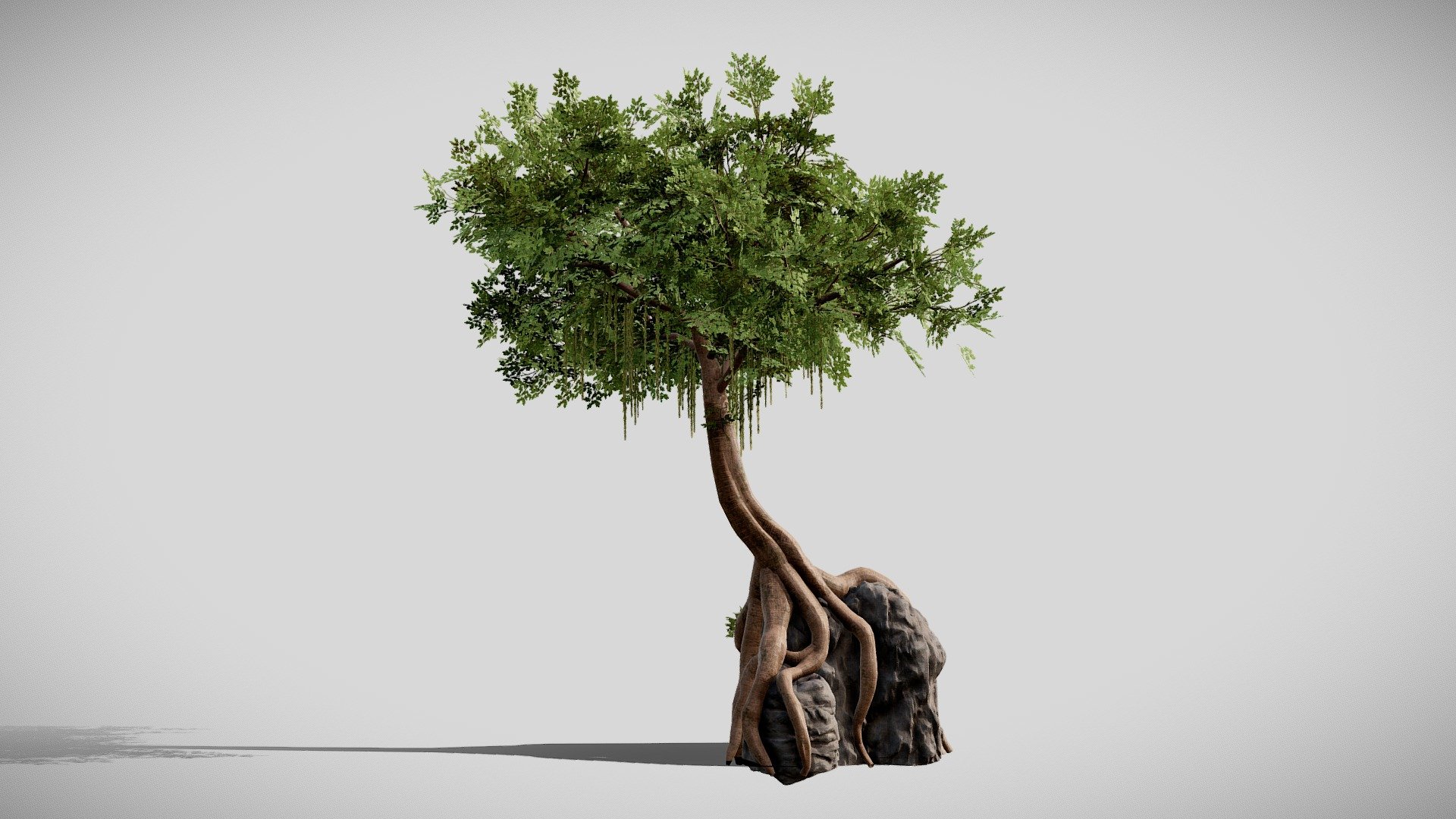 Details:

.fbx files

Low poly

Game Ready Asset

LODs + Billboard

Textures are 4K resolution (Albedo .tif with alpha channel)

Contact me for any issue or questions https://www.artstation.com/bpaul/profile